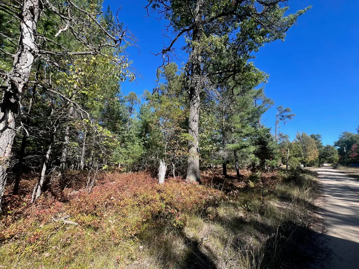 V/L L18-21 Monroe Avenue, Grayling, MI 49738 - Image #1