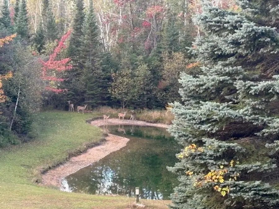 1473 W Heythaler Highway, Rogers City, MI 49779 - Image #3