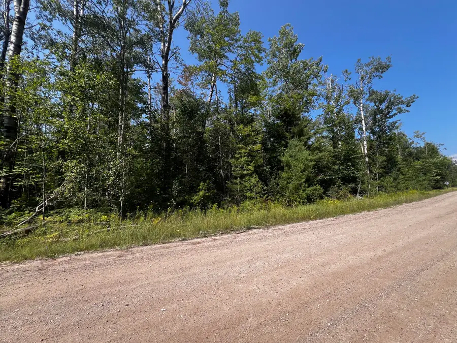 15058 Avenue Du Chalet, Wolverine, MI 49799 - Image #3