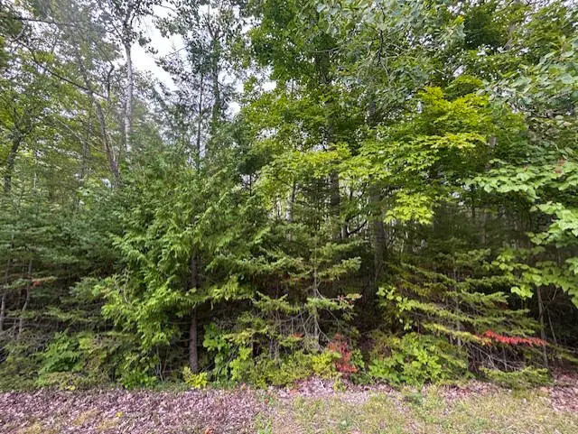 Lot 46 Renwick Circle, Presque Isle, MI 49777 - Image #1