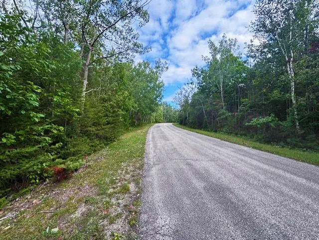 Lot 46 Renwick Circle, Presque Isle, MI 49777 - Image #3