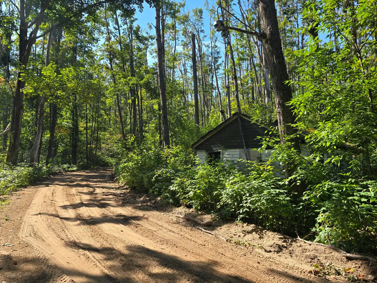 8563 Lewis Road, Vanderbilt, MI 49795 - Image #1