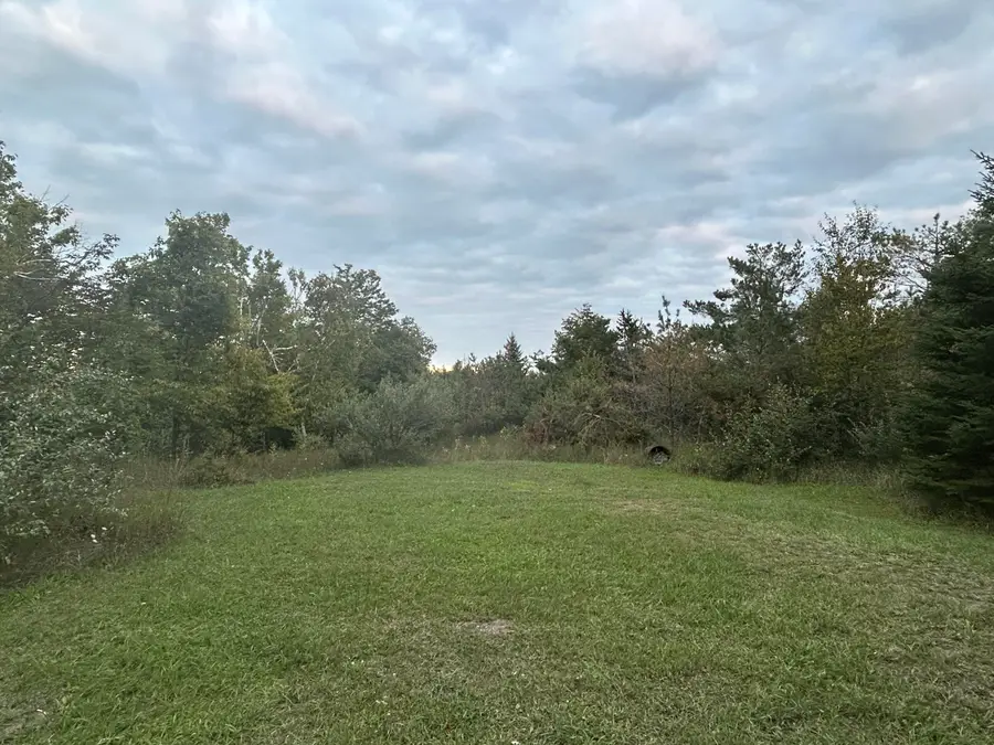 9625 Bolton Road, Posen, MI 49776 - Image #3