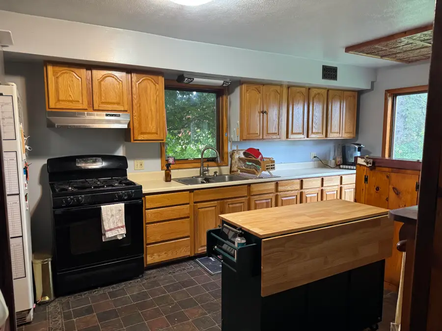 9376 S Mcknight Road, Dafter, MI 49724 - Image #3