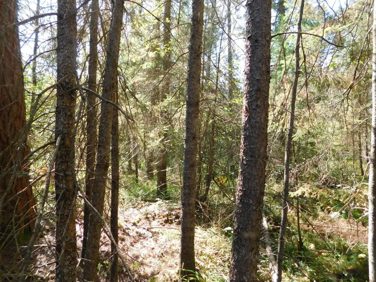 V/L 37.79A Hopkins Lodge Trail, Grayling, MI 49738 - Image #1