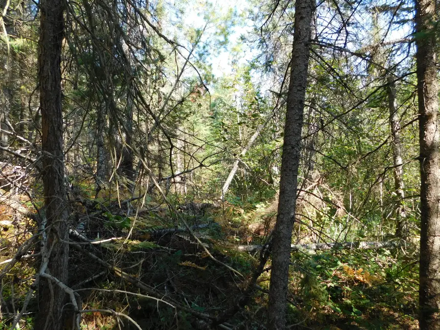 V/L 37.79A Hopkins Lodge Trail, Grayling, MI 49738 - Image #2