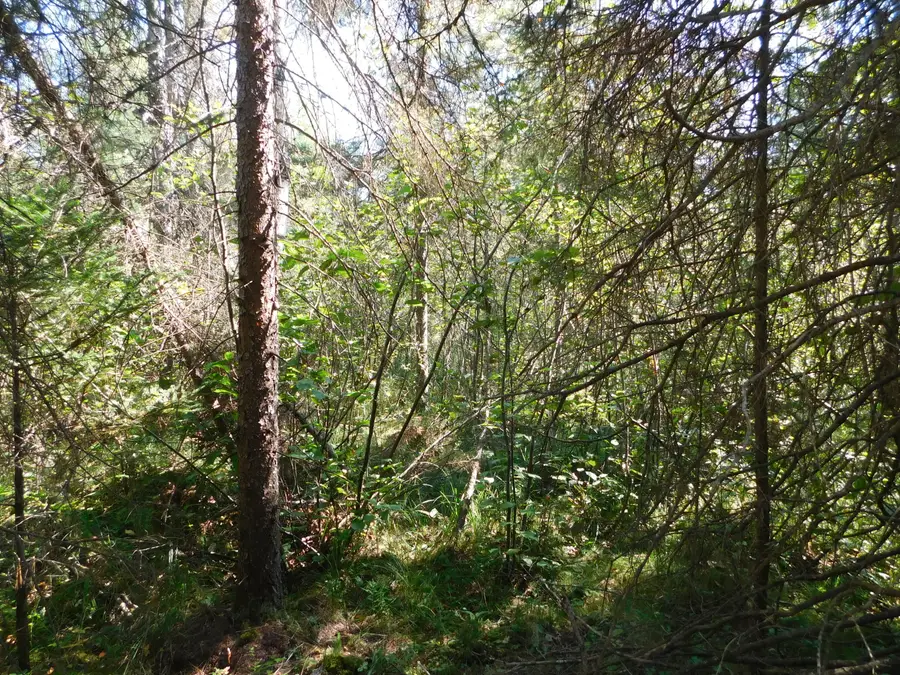 V/L 37.79A Hopkins Lodge Trail, Grayling, MI 49738 - Image #3