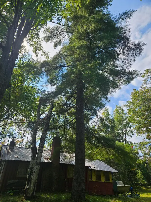 13025 Funk Road, Hillman, MI 49746