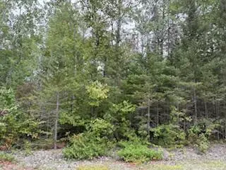 Lots 35-37 E Grand Lake Rd, Presque Isle, MI 49777 - Image #1