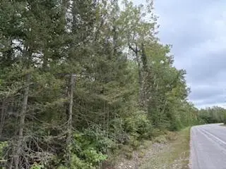 Lots 35-37 E Grand Lake Rd, Presque Isle, MI 49777 - Image #3