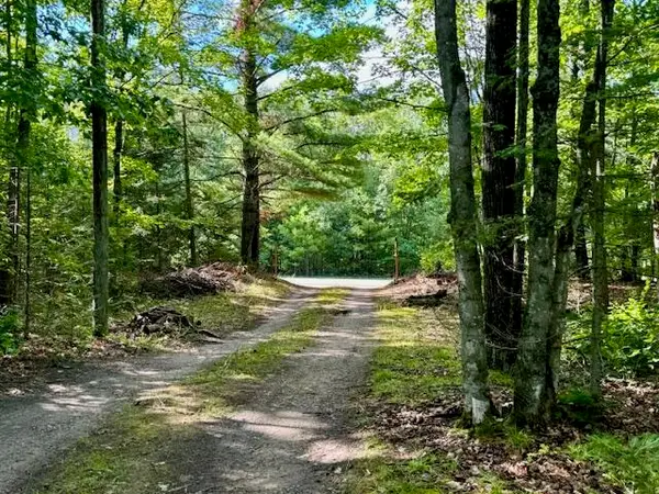 4083 Long Lake Rd, Cheboygan, MI 49721