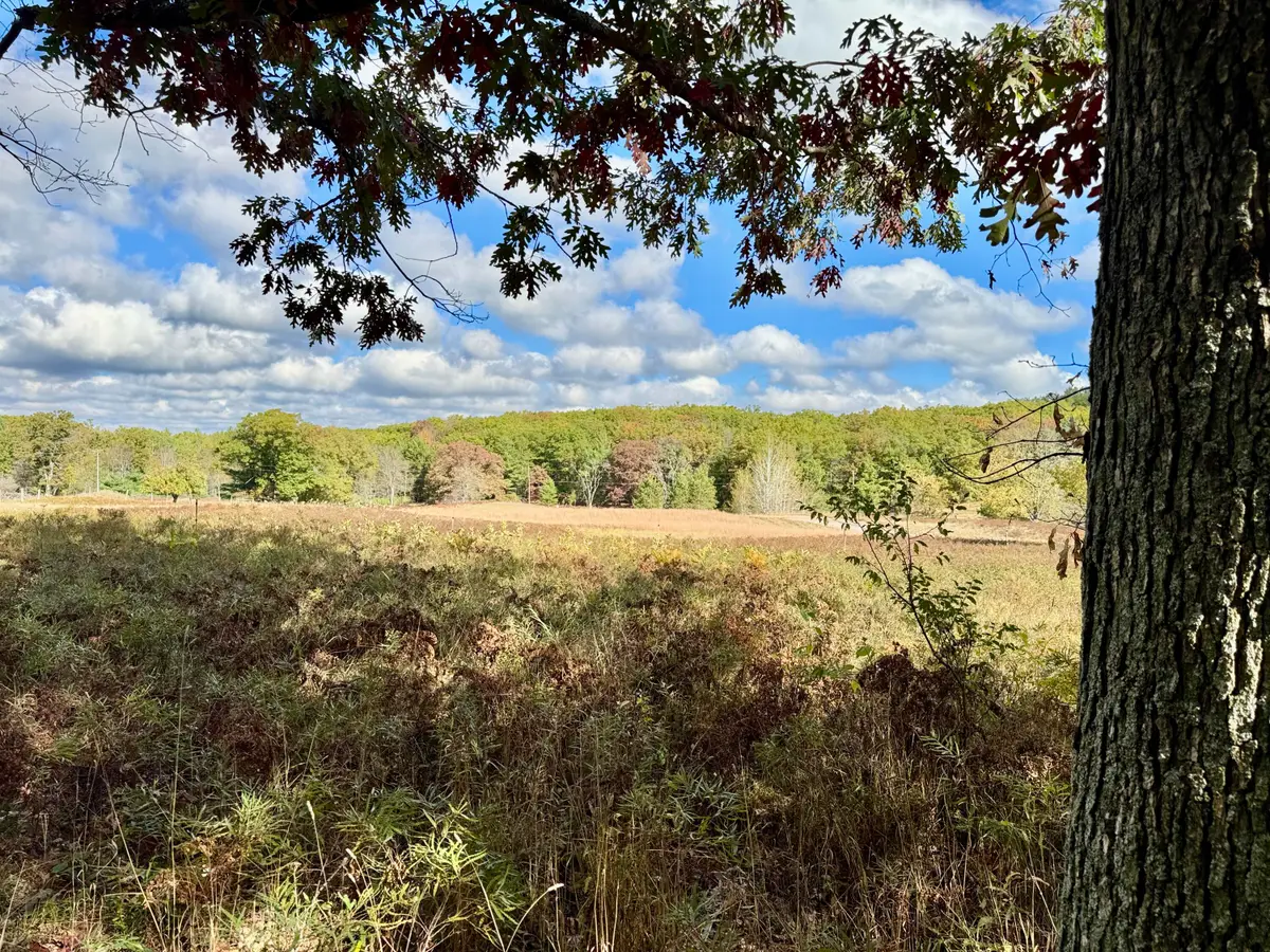 1015 Deklan Drive, Mio, MI 48647 - Image #1