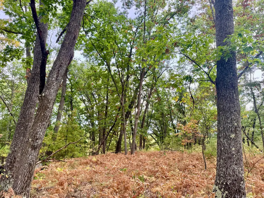 1015 Deklan Drive, Mio, MI 48647 - Image #2