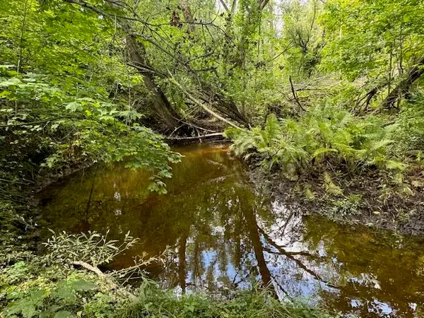 Parcel 2 Vfw Rd, Cheboygan, MI 49721