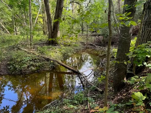 Parcel 3 Vfw Rd, Cheboygan, MI 49721