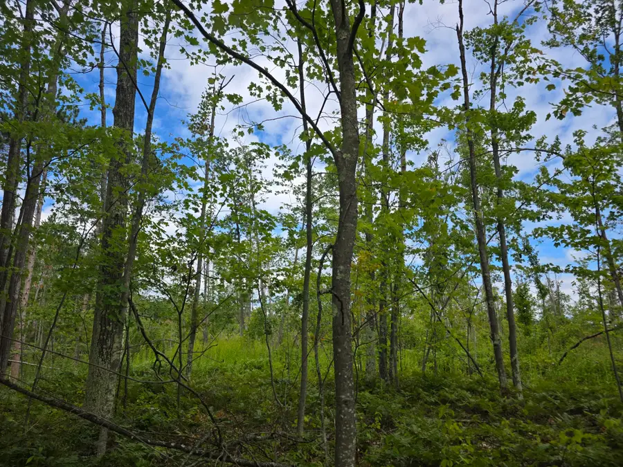 Parcel C E Ritchie Road, Lincoln, MI 48742 - Image #3