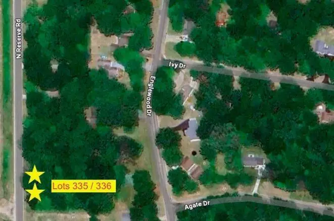 V/L N Reserve Rd - Lots 335 & 336, Roscommon, MI 48653 - Image #1