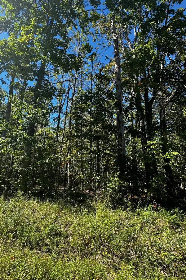 Lot 40 Lake Club Drive W, Gaylord, MI 49735