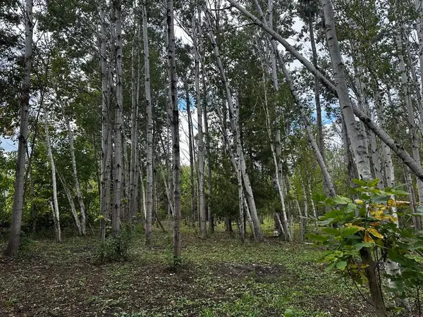 8265 Gutchess Road, Alpena, MI 49707