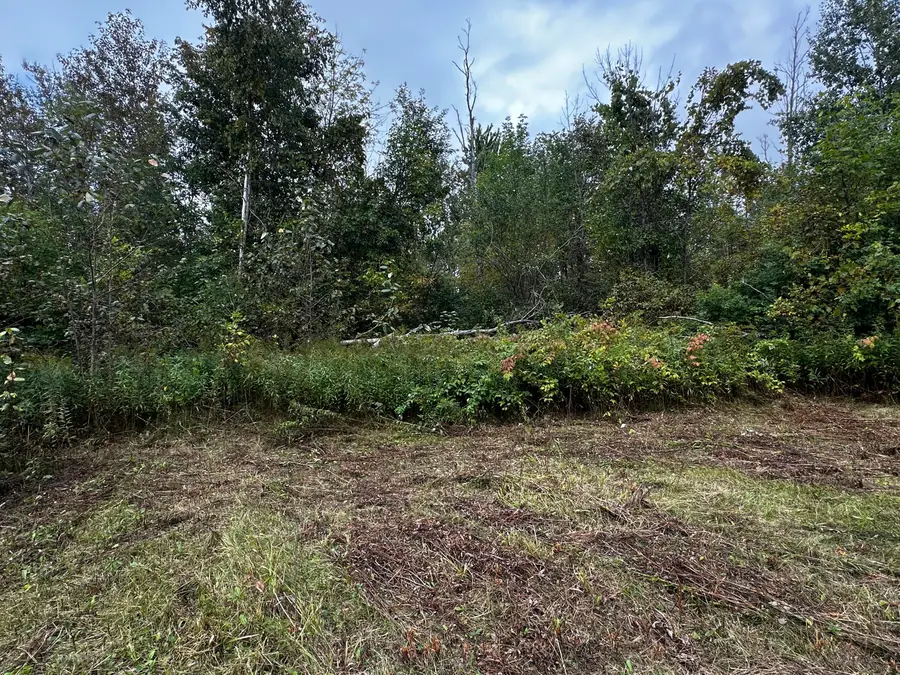 8265 Gutchess Road, Alpena, MI 49707 - #3