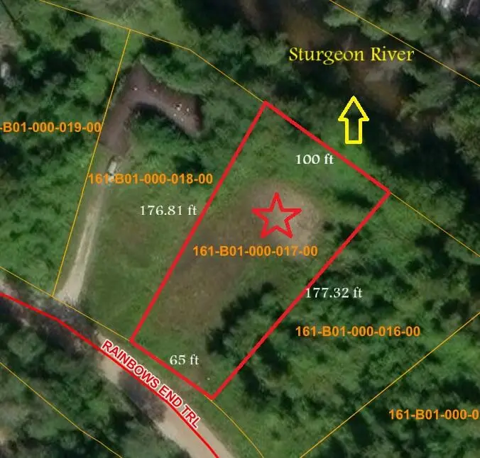 4229 Rainbow End Trail, Indian River, MI 49749 - Image #1