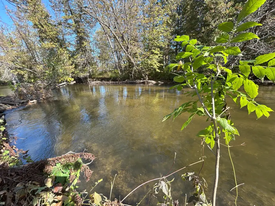 4245/4237 Rainbows End Trail, Indian River, MI 49749 - Image #3