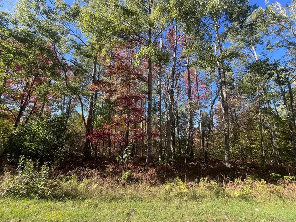 Lot 123 Wyckerly Drive, Mancelona, MI 49659