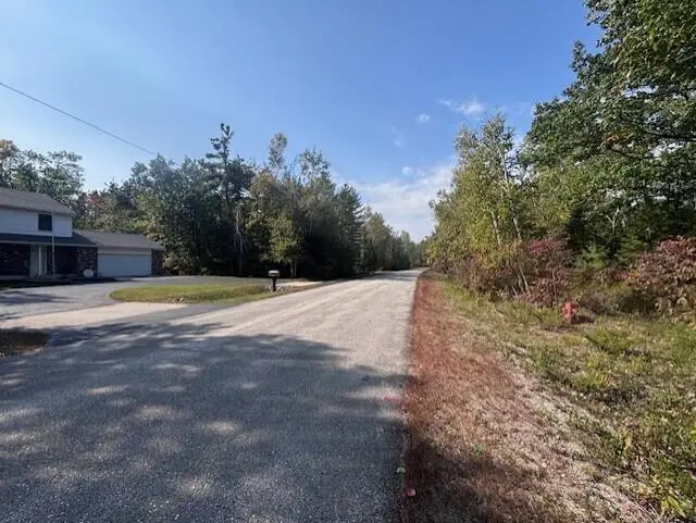 Lot 353 Bay Heights Drive, Presque Isle, MI 49777 - Image #3