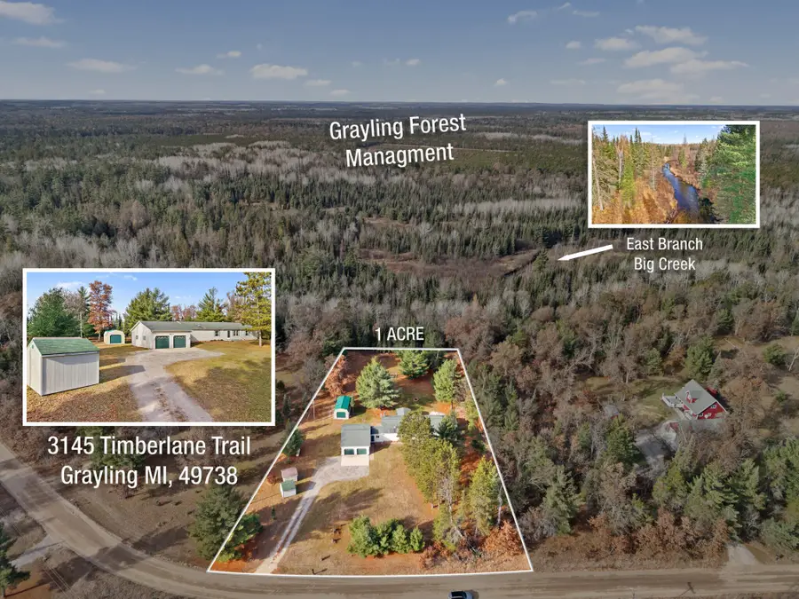 3145 Timberlane Trail, Grayling, MI 49738 - Image #2