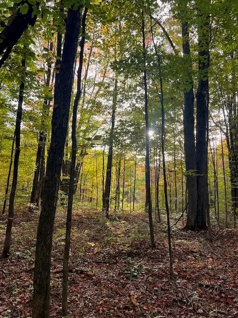 V/L 10AC Mancelona Rd, Mancelona, MI 49659