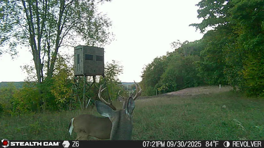 PARCEL A-1 Oslund Road, Mancelona, MI 49659 - Image #1