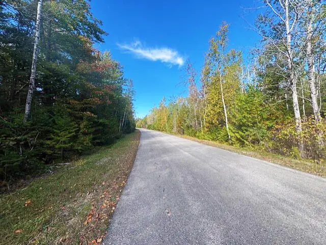 Lot 181 Northland Heights Drive, Presque Isle, MI 49777 - Image #3