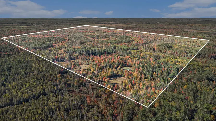 14600 Teets Trail, Atlanta, MI 49709 - Image #3