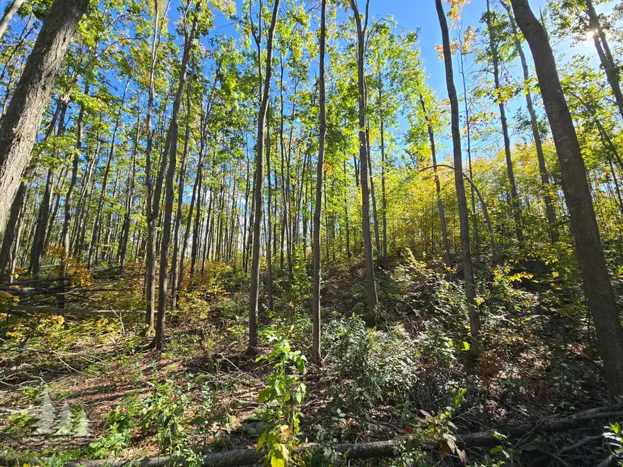 V/L 10 acr King Road, Lewiston, MI 49756 - Image #3