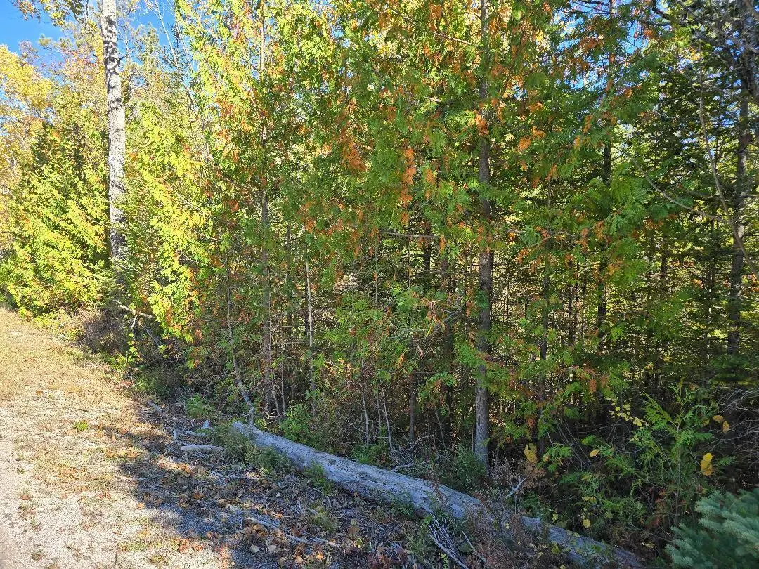 L 113&111 Cedar Terrace Road, Presque Isle, MI 49777 - Image #1