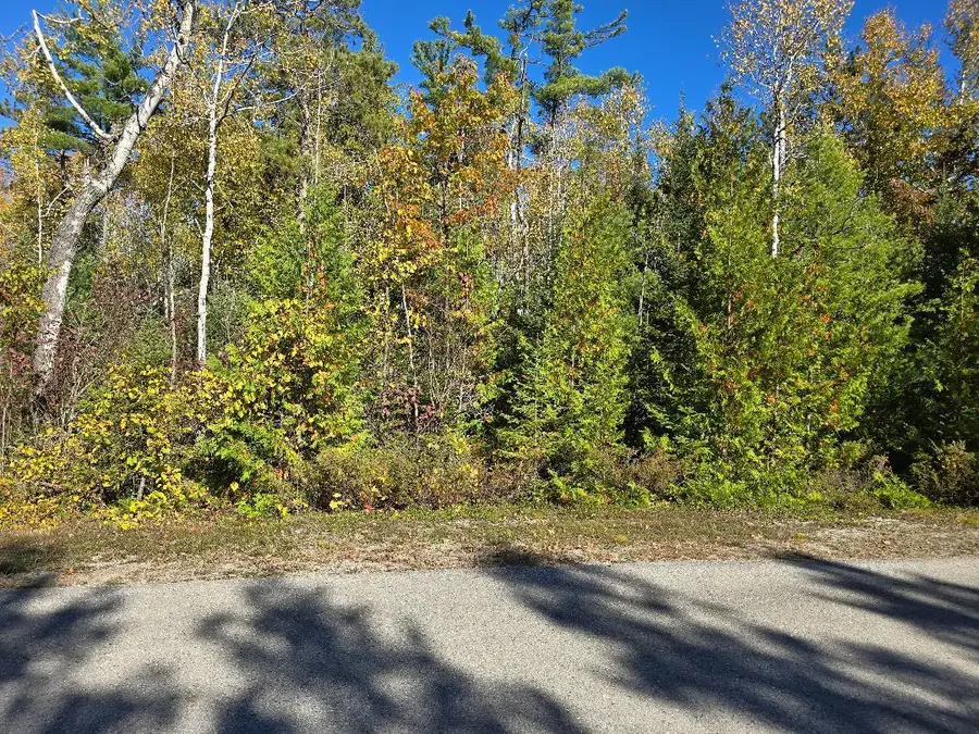 L 113&111 Cedar Terrace Road, Presque Isle, MI 49777 - Image #3