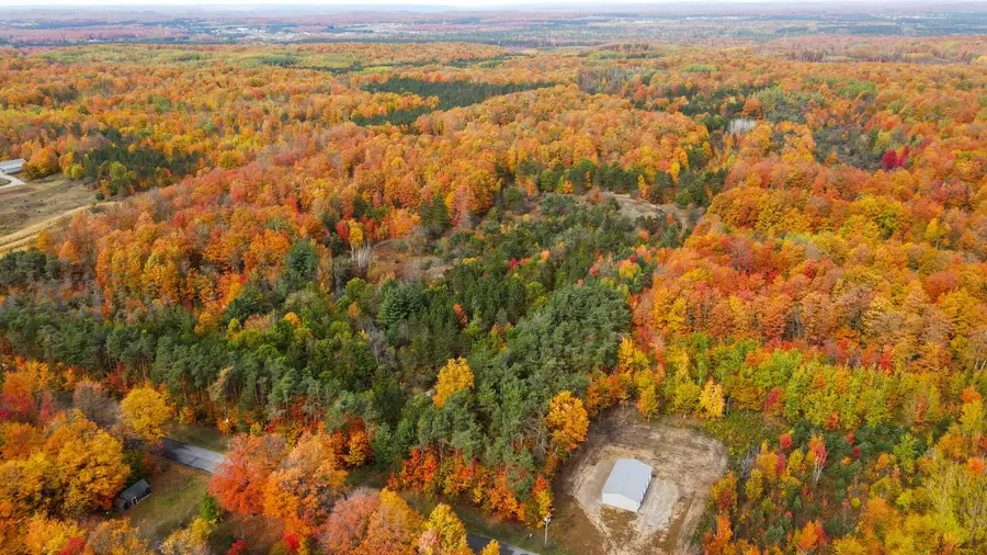 5721 Scholl Road, Mancelona, MI 49659 - Image #3