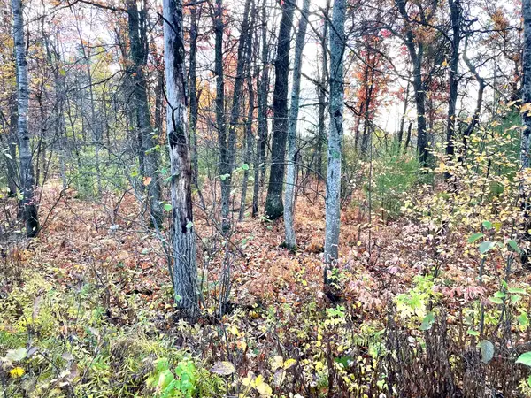 10 Acres W Fletcher Road, Roscommon, MI 48653