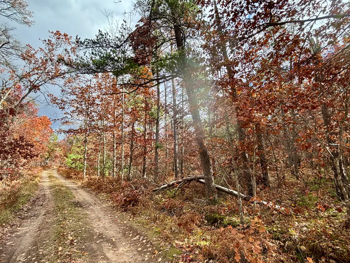 2588 N Red Oak Road, Lewiston, MI 49756 - #1