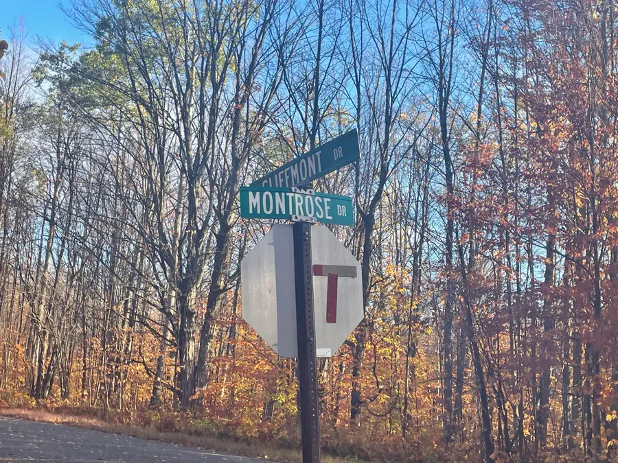 V/L LOT 78 Montrose Drive, Mancelona, MI 49659 - Image #3