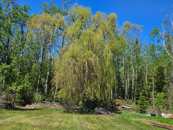 1334 N Cedar Street, Rogers City, MI 49779