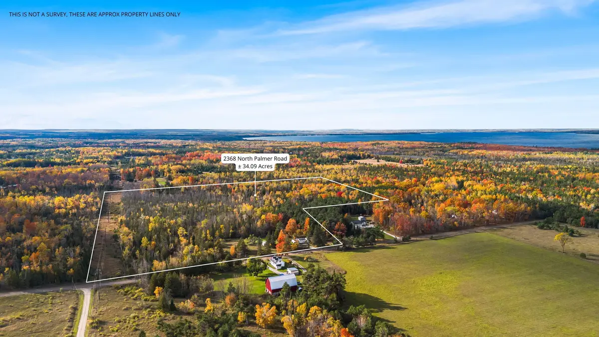 2368 N Palmer Road, Onaway, MI 49765 - #1