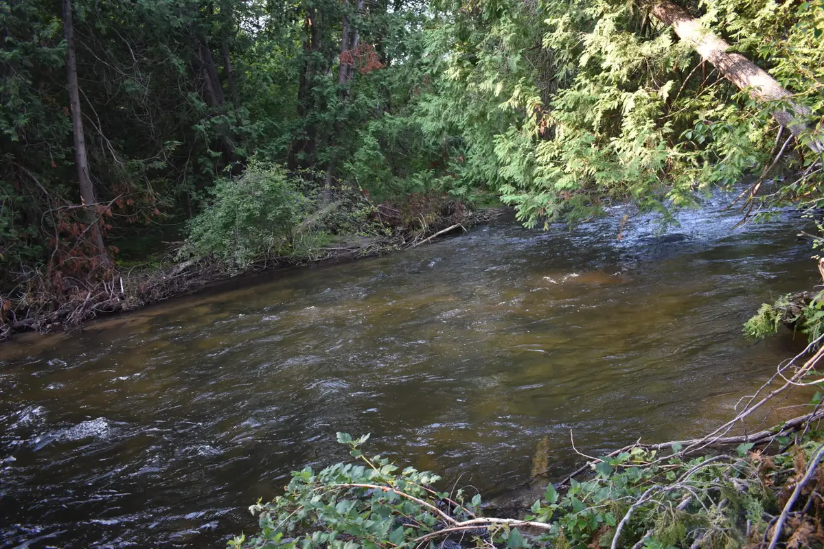 A and D 8993 S. Straits Highway, Wolverine, MI 49799 - Image #1