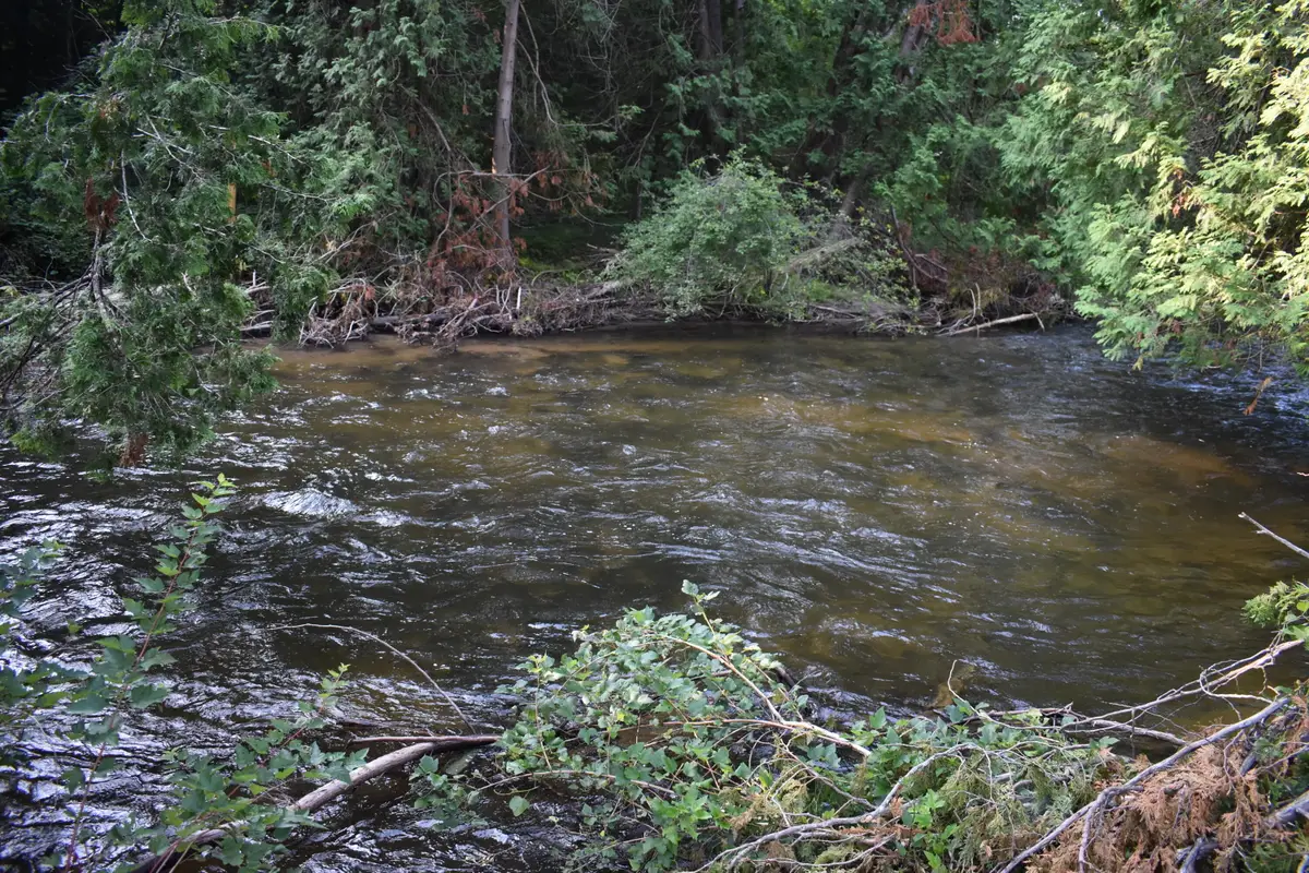 A, B, C, D S Straits Highway, Wolverine, MI 49799 - Image #1