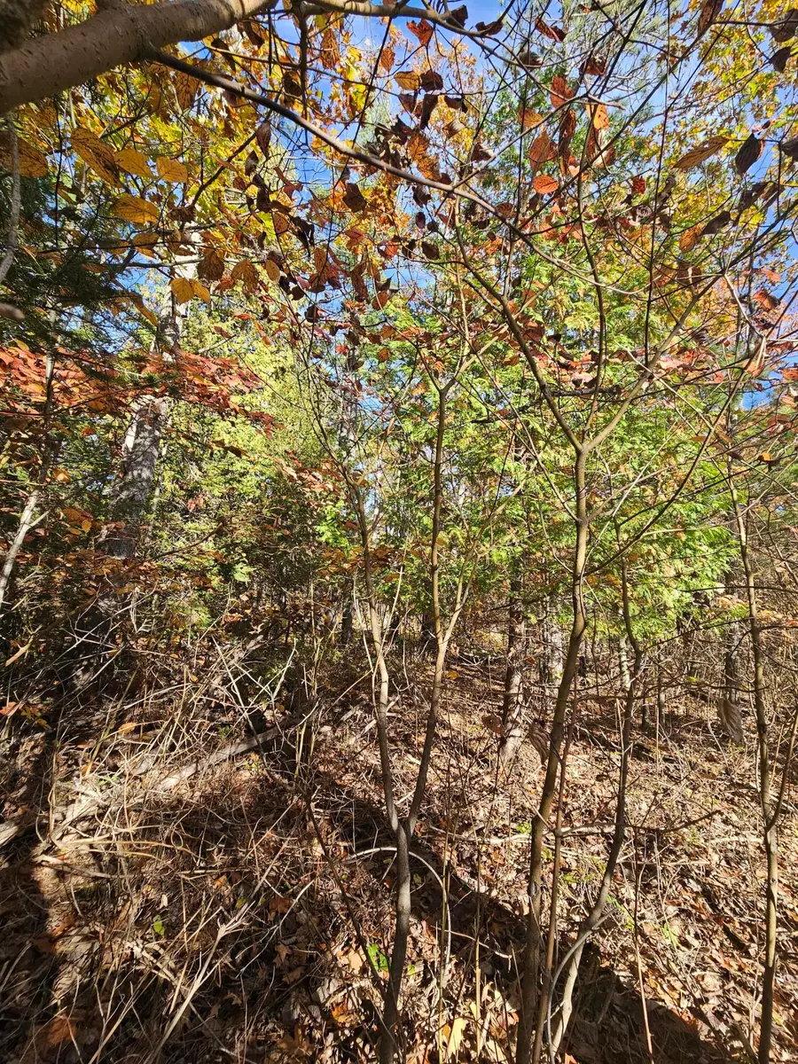 V/L 0.38 A Highland Pines Road, Presque Isle, MI 49777 - #3