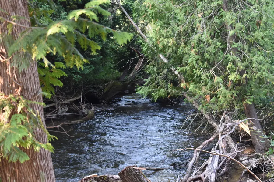 B and C S Straits Highway, Wolverine, MI 49799 - Image #3