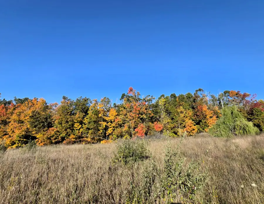 11080 Wolf Creek Road, Hubbard Lake, MI 49747 - Image #3