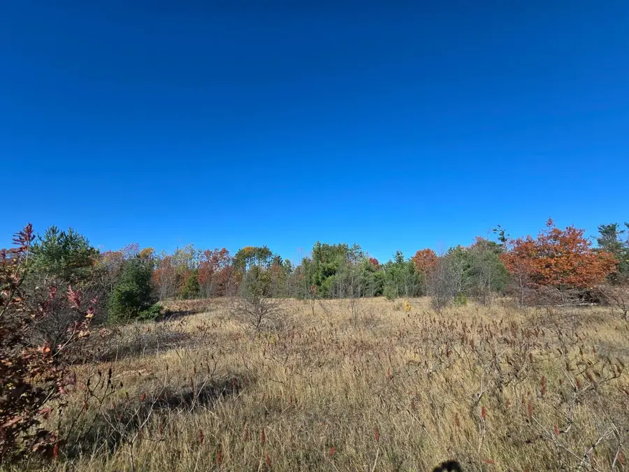 V/L Par B Chestnut Court, Gaylord, MI 49735 - Image #2