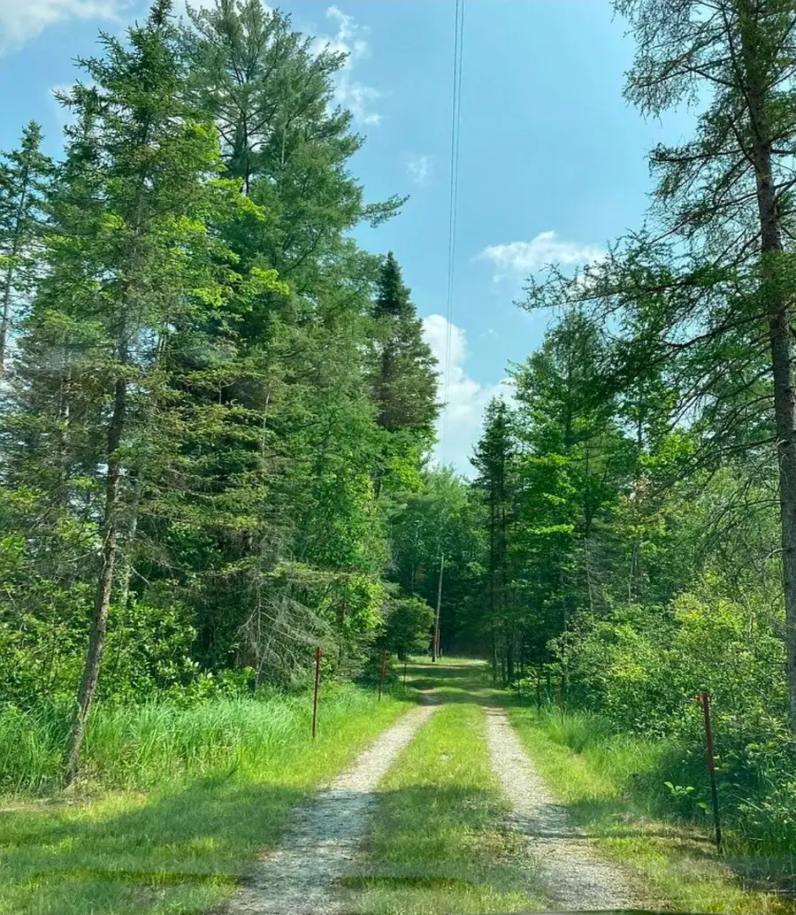 17610 Harwood Road, Atlanta, MI 49709 - Image #2