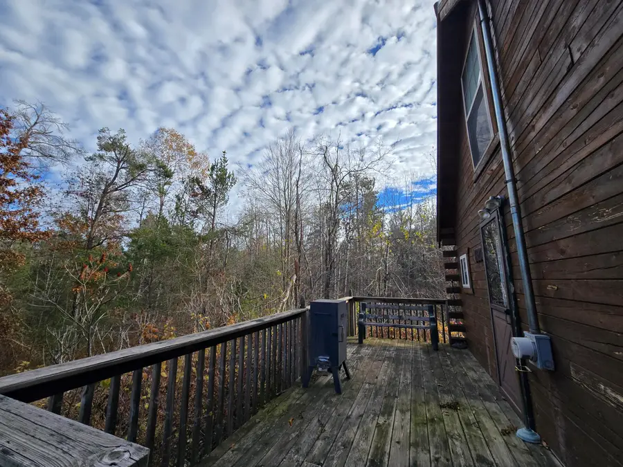 1151 Cedar Run Road, Mio, MI 48647 - Image #3